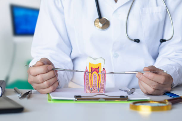 Best Emergency Treatment for Dental Infections or Abscesses in Gra Forks, ND